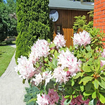 Ferienwohnung Bodstedt Bodstedt